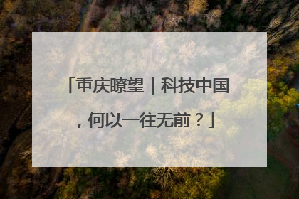 重庆瞭望｜科技中国，何以一往无前？
