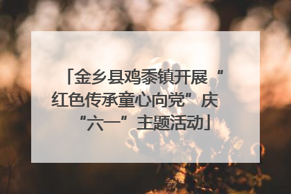 金乡县鸡黍镇开展“红色传承童心向党”庆“六一”主题活动