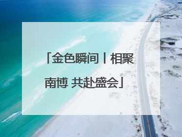 金色瞬间丨相聚南博 共赴盛会