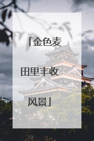金色麦田里丰收风景