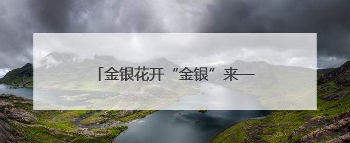 金银花开“金银”来——淄博市高青县常家镇共富路上“一路生花”