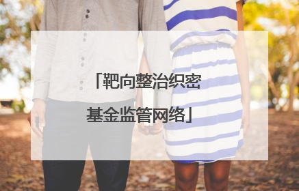 靶向整治织密基金监管网络