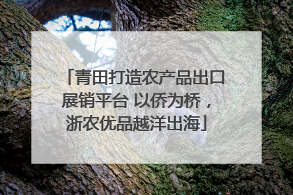 青田打造农产品出口展销平台 以侨为桥，浙农优品越洋出海