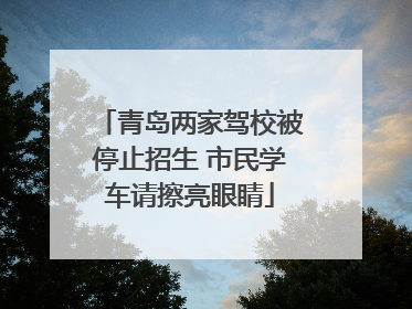 青岛两家驾校被停止招生 市民学车请擦亮眼睛