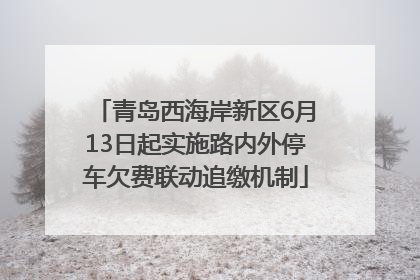 青岛西海岸新区6月13日起实施路内外停车欠费联动追缴机制