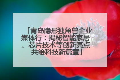 青岛隐形独角兽企业媒体行：揭秘智能家居、芯片技术等创新亮点 共绘科技新篇章