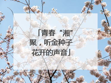 青春“湘”聚，听金种子花开的声音
