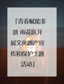 青春赋能非遗 雨花区开展文化遗产宣传和保护主题活动