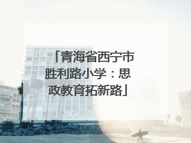 青海省西宁市胜利路小学：思政教育拓新路