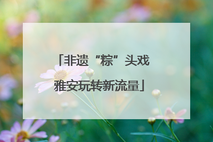 非遗“粽”头戏 雅安玩转新流量