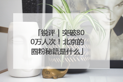 锐评｜突破800万人次！北京的圈粉秘籍是什么
