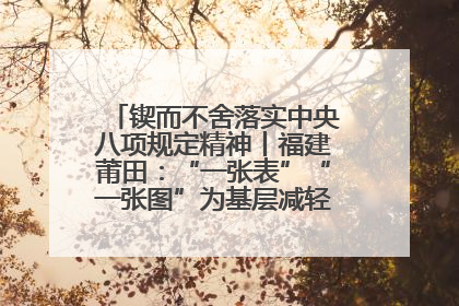 锲而不舍落实中央八项规定精神丨福建莆田：“一张表”“一张图”为基层减轻“数字负担”