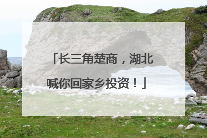 长三角楚商，湖北喊你回家乡投资！