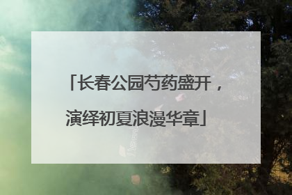 长春公园芍药盛开，演绎初夏浪漫华章