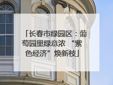 长春市绿园区：葡萄园里绿意浓 “紫色经济”焕新枝