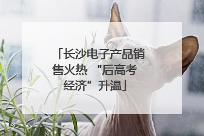 长沙电子产品销售火热 “后高考经济”升温