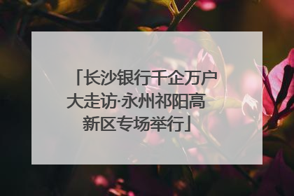 长沙银行千企万户大走访·永州祁阳高新区专场举行