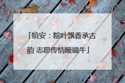 镇安：粽叶飘香承古韵 志愿传情暖端午
