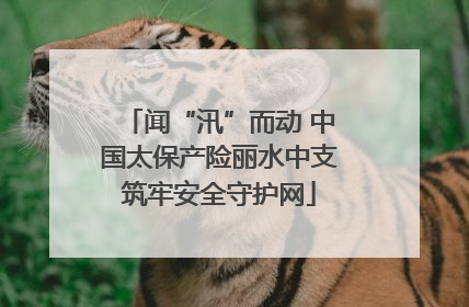 闻“汛”而动 中国太保产险丽水中支筑牢安全守护网