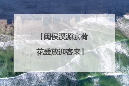 闽侯溪源寨荷花盛放迎客来