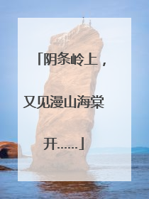 阴条岭上，又见漫山海棠开……