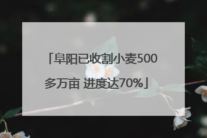 阜阳已收割小麦500多万亩 进度达70%