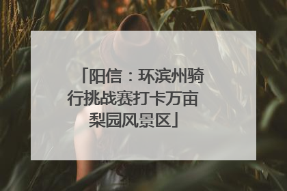 阳信：环滨州骑行挑战赛打卡万亩梨园风景区