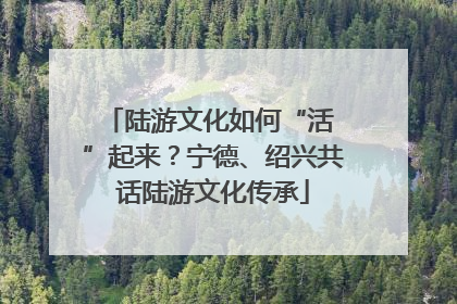 陆游文化如何“活 ”起来？宁德、绍兴共话陆游文化传承