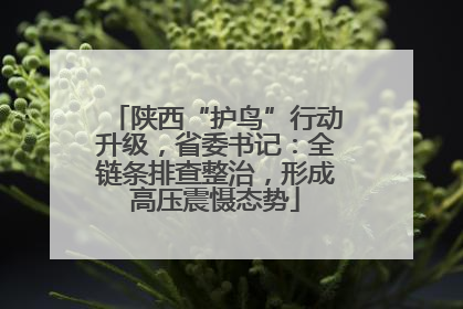 陕西“护鸟”行动升级，省委书记：全链条排查整治，形成高压震慑态势