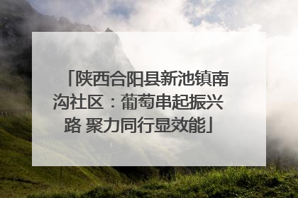 陕西合阳县新池镇南沟社区：葡萄串起振兴路 聚力同行显效能