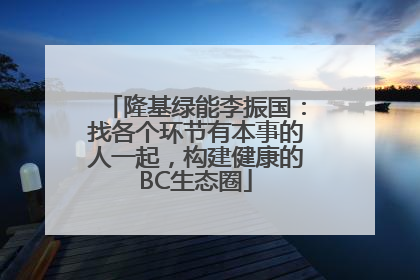 隆基绿能李振国：找各个环节有本事的人一起，构建健康的BC生态圈