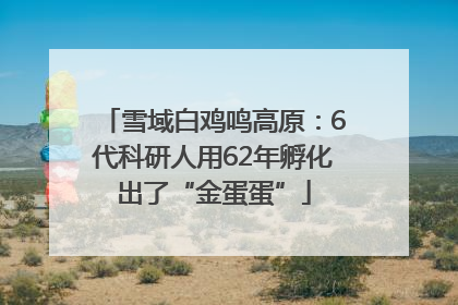 雪域白鸡鸣高原：6代科研人用62年孵化出了“金蛋蛋”