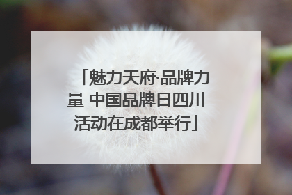 魅力天府·品牌力量 中国品牌日四川活动在成都举行