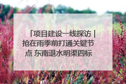 项目建设一线探访｜抢在雨季前打通关键节点 东南退水明渠四标段项目顺利完工
