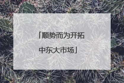 顺势而为开拓中东大市场