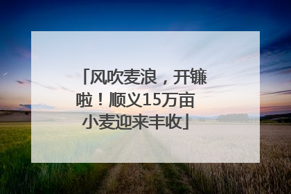 风吹麦浪，开镰啦！顺义15万亩小麦迎来丰收