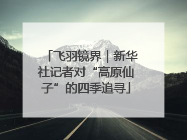 飞羽镜界｜新华社记者对“高原仙子”的四季追寻