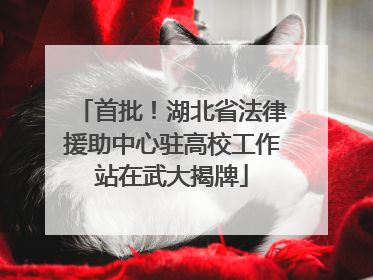 首批！湖北省法律援助中心驻高校工作站在武大揭牌