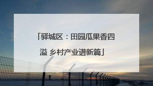 驿城区：田园瓜果香四溢 乡村产业谱新篇