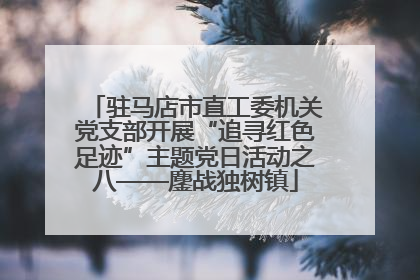 驻马店市直工委机关党支部开展“追寻红色足迹”主题党日活动之八——鏖战独树镇