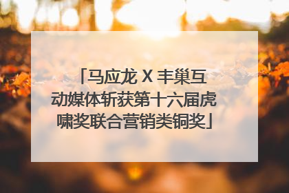 马应龙 X 丰巢互动媒体斩获第十六届虎啸奖联合营销类铜奖