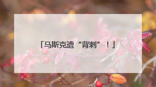 马斯克遭“背刺”！