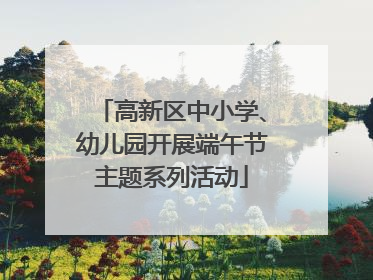 高新区中小学、幼儿园开展端午节主题系列活动