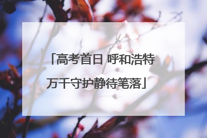 高考首日 呼和浩特万千守护静待笔落