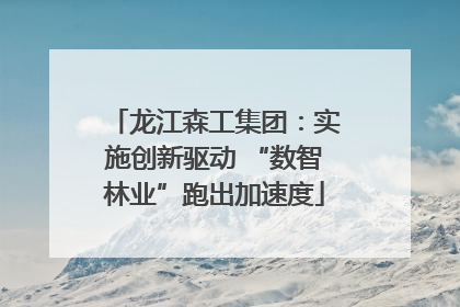 龙江森工集团：实施创新驱动 “数智林业”跑出加速度
