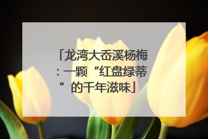 龙湾大岙溪杨梅：一颗“红盘绿蒂”的千年滋味