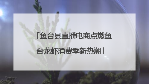 鱼台县直播电商点燃鱼台龙虾消费季新热潮
