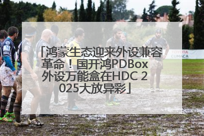 鸿蒙生态迎来外设兼容革命！国开鸿PDBox外设万能盒在HDC 2025大放异彩