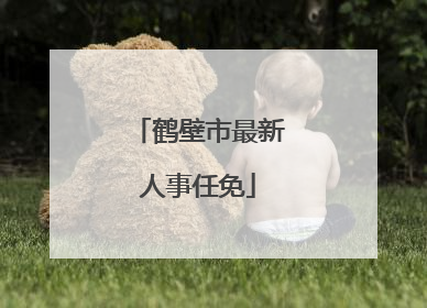 鹤壁市最新人事任免