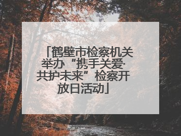 鹤壁市检察机关举办“携手关爱·共护未来”检察开放日活动